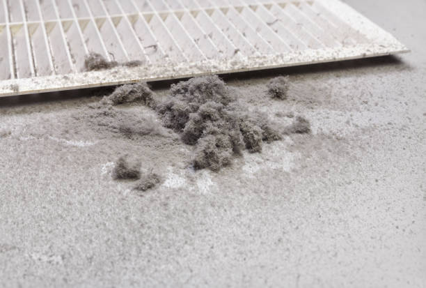 Best Commercial HVAC Duct Cleaning  in Port Dickinson, NY