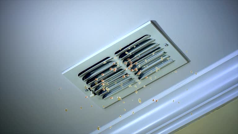 Best HVAC Air Duct Cleaning  in Port Dickinson, NY