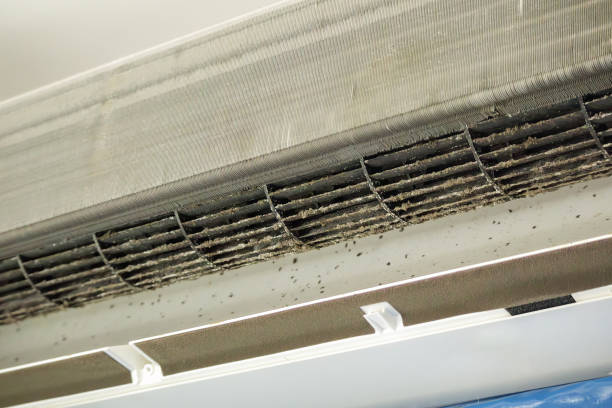Best Affordable Duct Cleaning Services  in Port Dickinson, NY